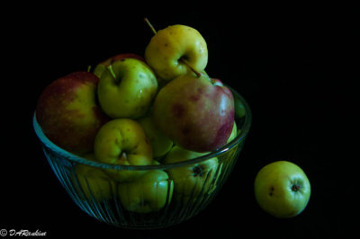 Apples From the Park