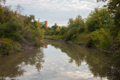 Guelph Humber University