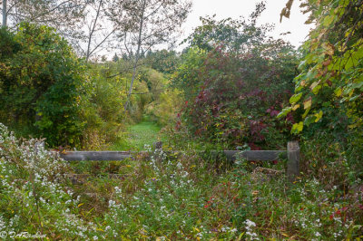 West Humber Trail