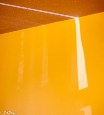 Reflected Sunlight