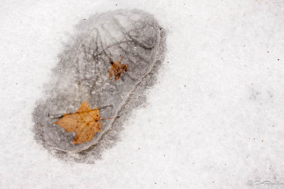 Footprint on Deerlick Creek