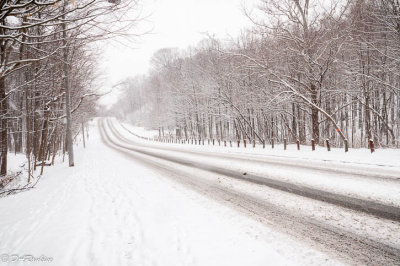 Snow On Brookbanks Drive