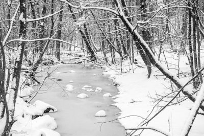 Ice on Deerlick Creek