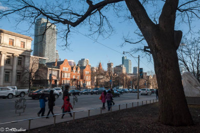 Winter on Queen's Park