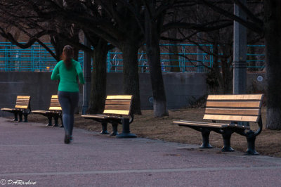 Late Evening on Queens Quay III