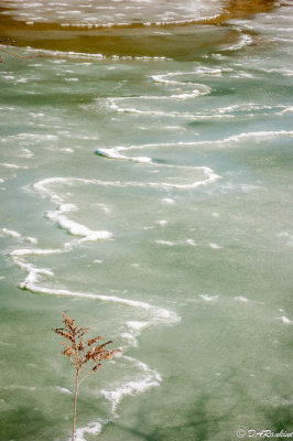 Ice on Highland Creek