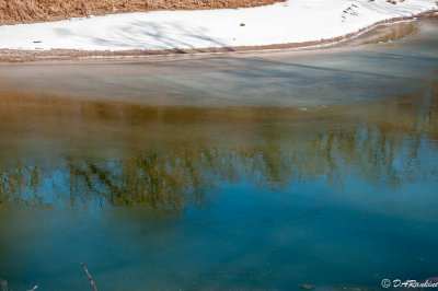 Reflections in Highland Creek