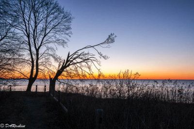 Break of Day