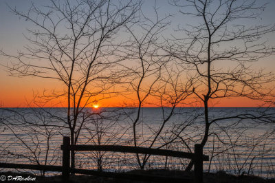 Last of the Winter Sun