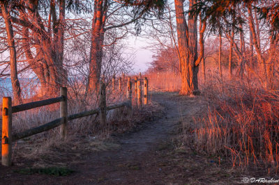 Last Morning of Winter
