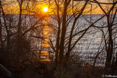Rising Winter Sun