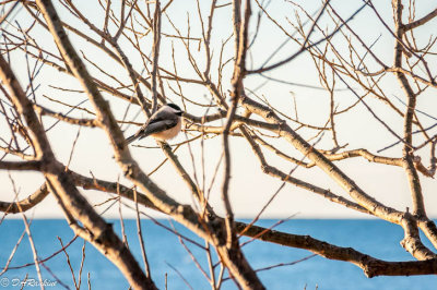 Readying for Spring