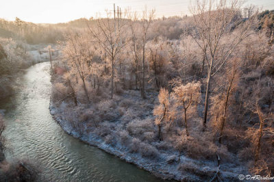 Rouge River Valley on a Frosty Morning