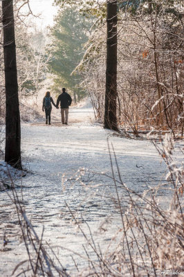 Walking in Rouge Park