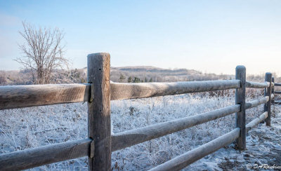Spring Frost on Fence