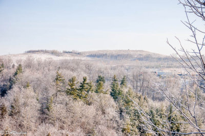 Frosty Spring Morning III