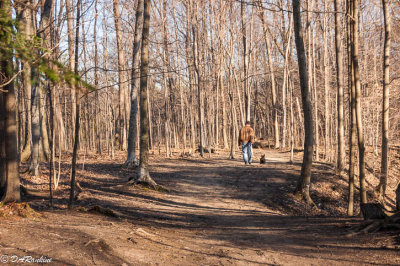 Walking through Edwards Gardens