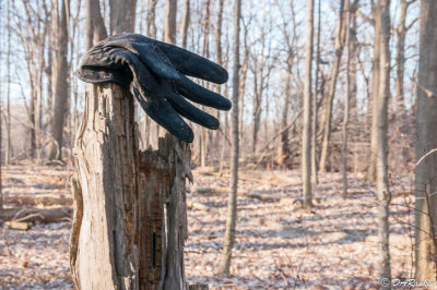 Missing Left Hand