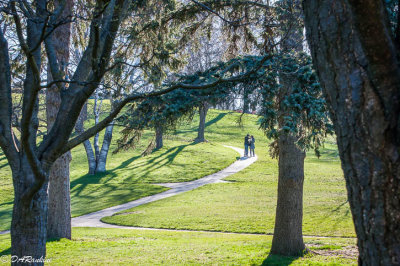 Exploring High Park