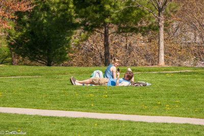 Enjoying the Spring Sun