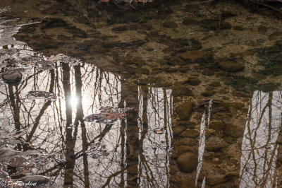 Reflection on Deerlick Creek