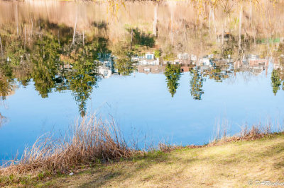 Reflections of Grenadier Pond