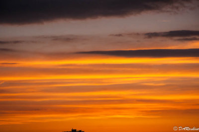 g9/01/709301/3/163495293.Iccrhn1u.jpg