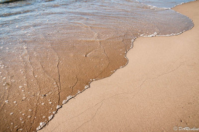 Ebb