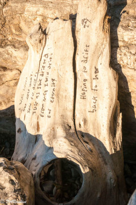 Poem On Driftwood