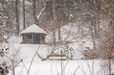 The Gazebo in the Park