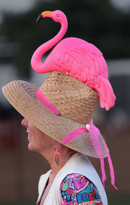 Accessorizing with Flamingos