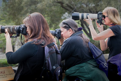 Women Photographers