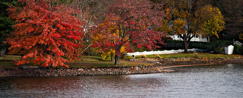 Wood Pond