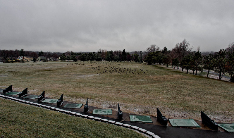 Occupying forces - Rockledge Golf Range