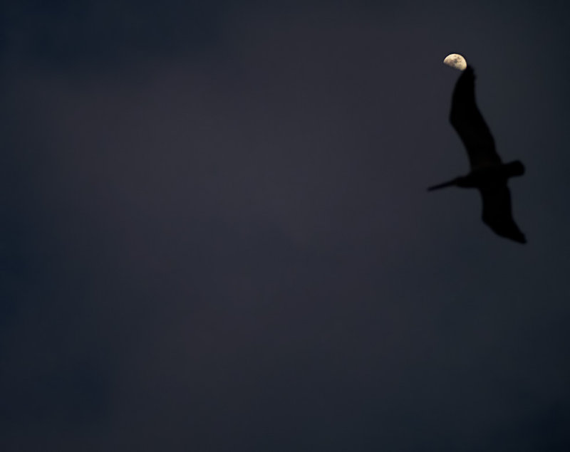 Touching the moon