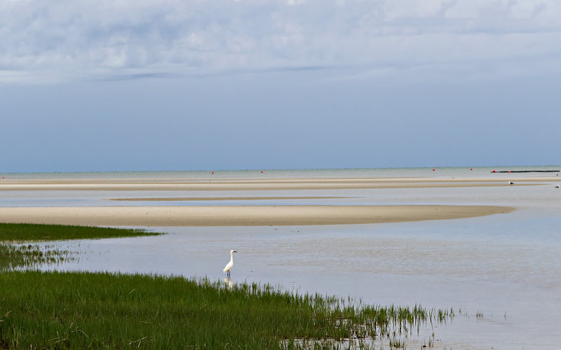 Rock Harbor - Cape Cod