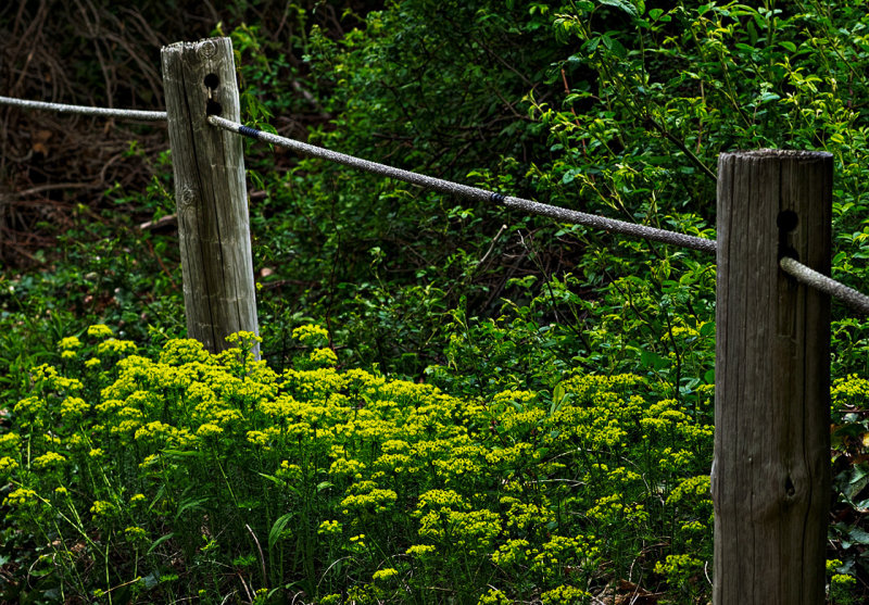 Cape Cod National Seashore - Salt Pond Visitor Center