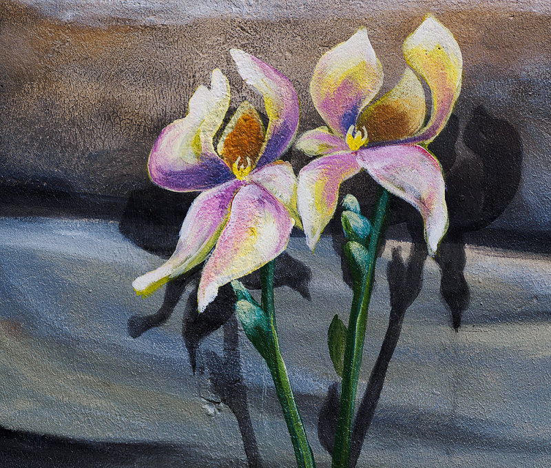 Everlasting Spring in the Secret Garden (#6 of X)