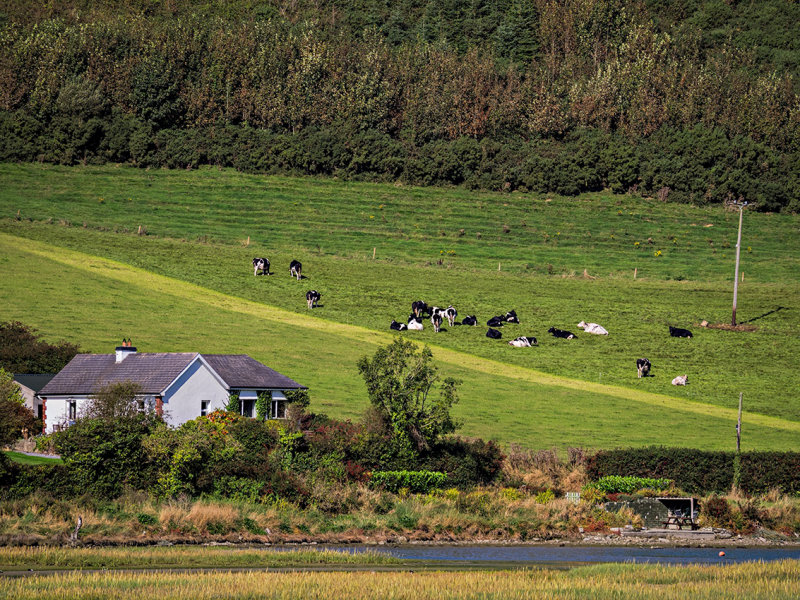 bucolic