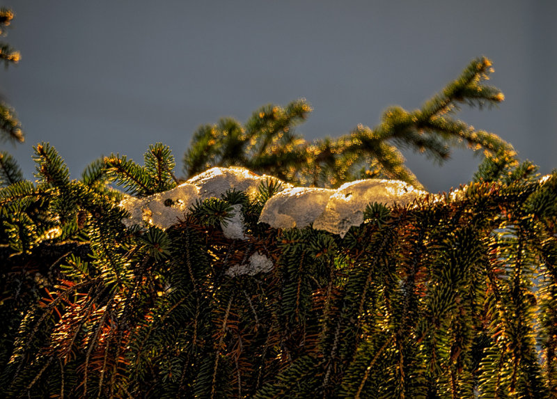Morning light #2