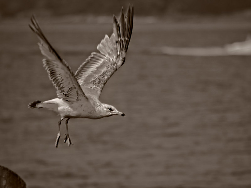 Take-off