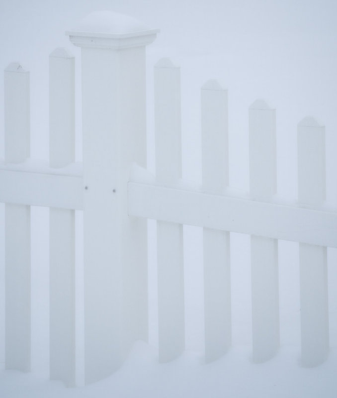 Snow and White Fence 