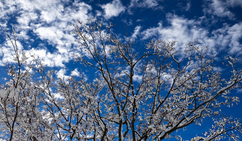 After the snow