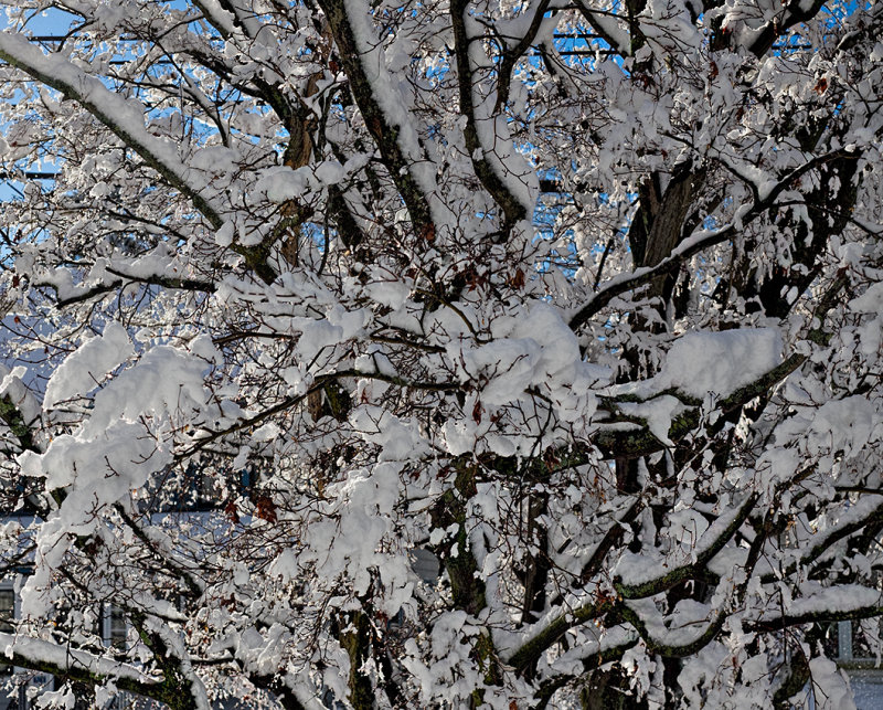 The sun came out after the snowstorm