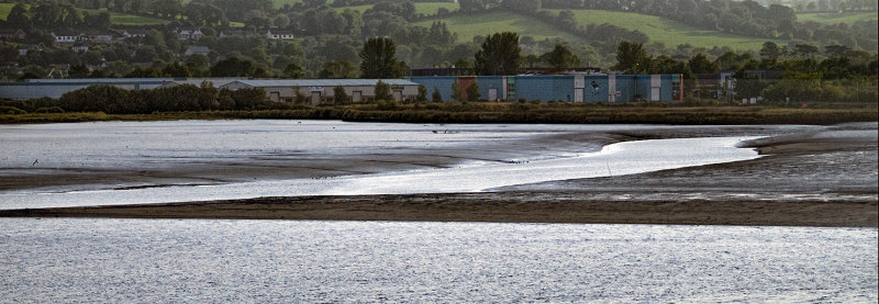 Youghal Bay in winter