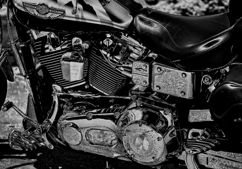 Dreaming of a Harley...