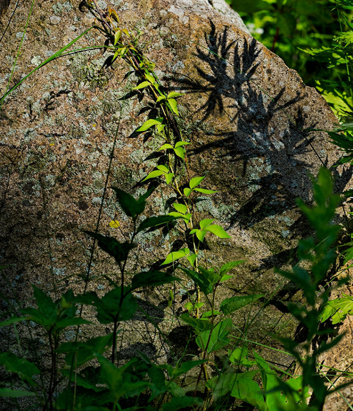Light, shadow and textures