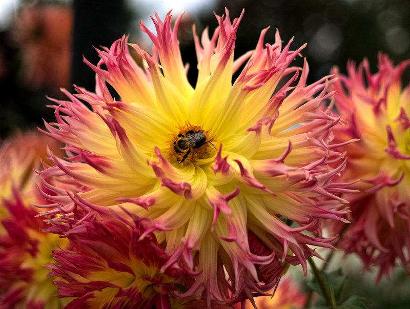 October at Elizabeth Park