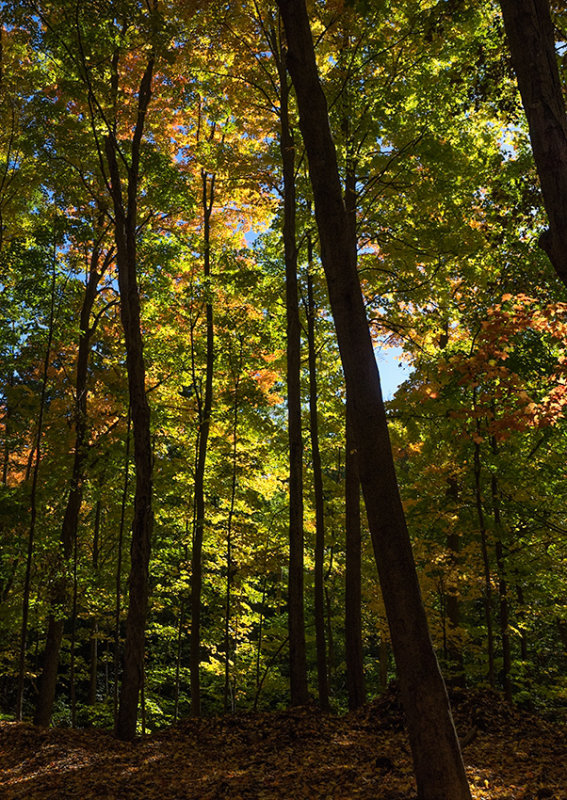 October in Connecticut