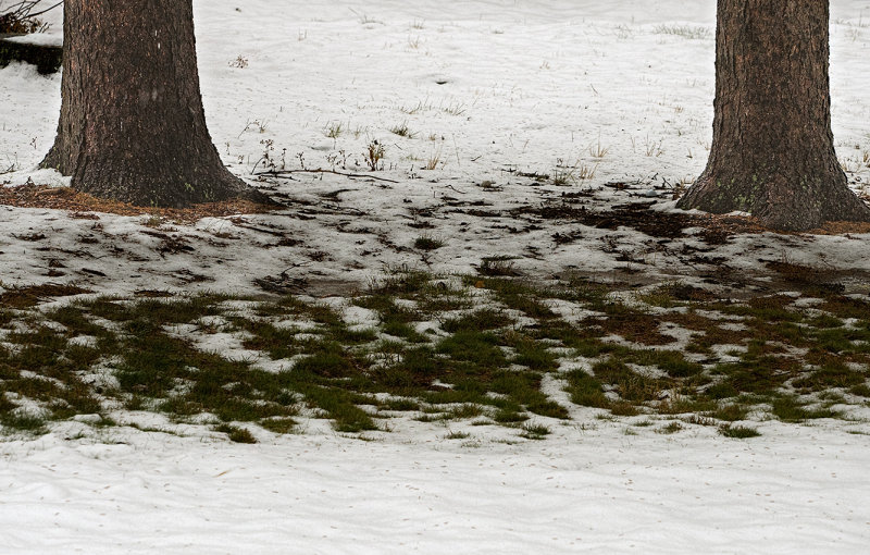 Yesterdays snow